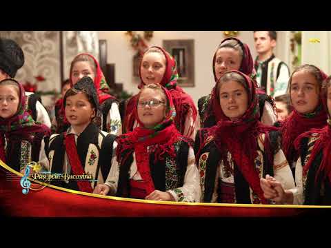 Grupul folcloric ”Bilcuta”   coord  Elena Negru