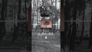 Miniaturka - Aczimi hoş gör | Metin Vural