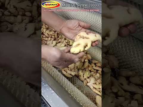 Ginger Washing And Peeling Machine