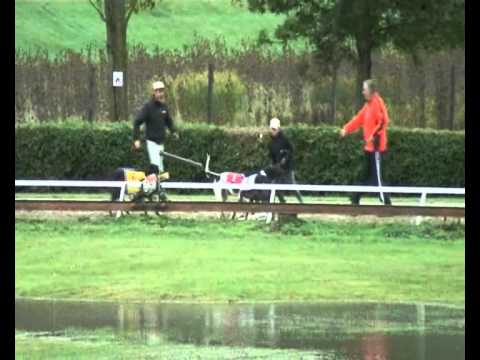 2010 European Derby Veterans Final