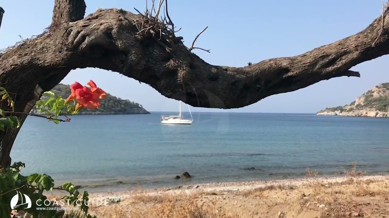 Sarı Liman Video