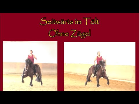 Seitwärts im Tölt - Ohne Zügel