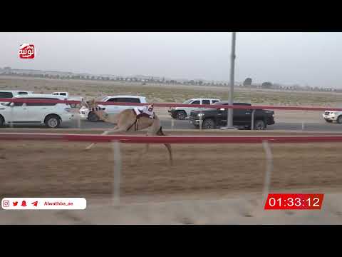 ش 5 (الشاهينيه) لـ محمد سعيد بن عبدالله الرميثي 3:00 ، شارة صندوق الحلفه 2026/08/25 فطامين سويحان