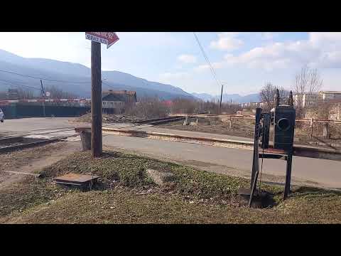 Trenul R5464 Piatra Neamț-Bacău la barieră! (3.03.2023) Nu uita de like👍👍👍👍Trenul este direct!