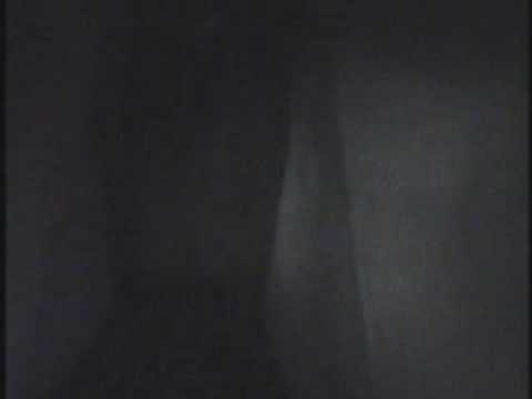 Carousel Gardens Video 2