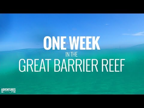 download lagu mp3 mp4 Great Barrier Reef Scuba Diving Prices, download lagu Great Barrier Reef Scuba Diving Prices gratis, unduh video klip Great Barrier Reef Scuba Diving Prices