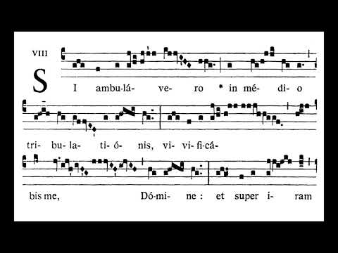 Offertory chant EF: 19th Sunday after Pentecost - Si Ambulavero