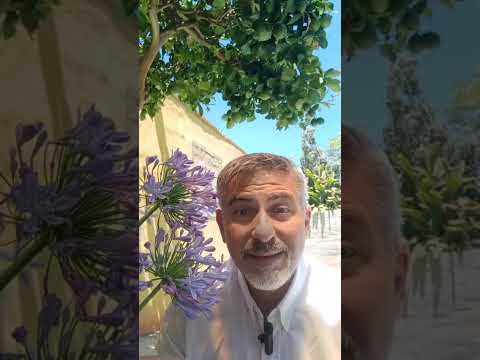 Evangelio del Nuestro Señor Jesucristo Con el Padre Fabian Esteban Oliva.  08/12/25