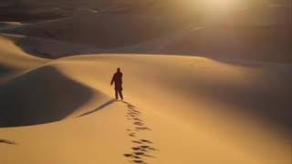 KALIMAH CINTA -AMY SEARCH