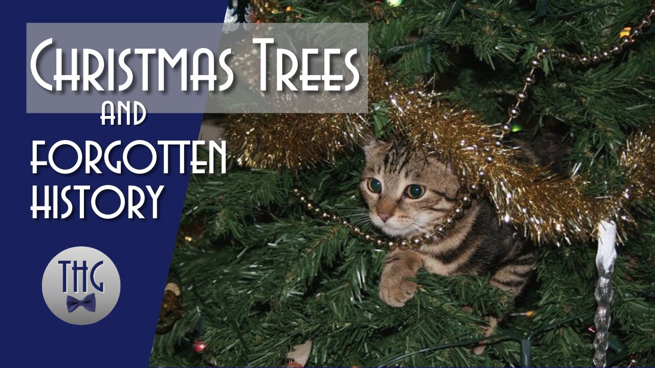Christmas Trees: A Forgotten History