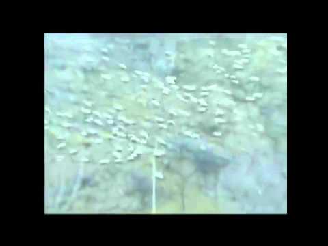 Oferte Cazare Busteni - Cazat.ro