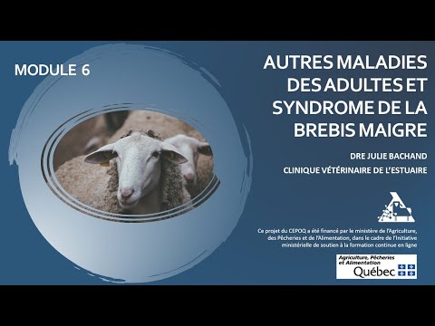 , title : 'Formation en santé ovine - Maladies des adultes et Syndrome de la brebis maigre (Module 6)'