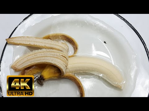Banana Time Lapse in Water | 1 WEEK INSIDE 88
