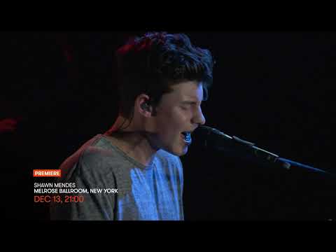 Stingray Festival 4K December 2019 Premieres