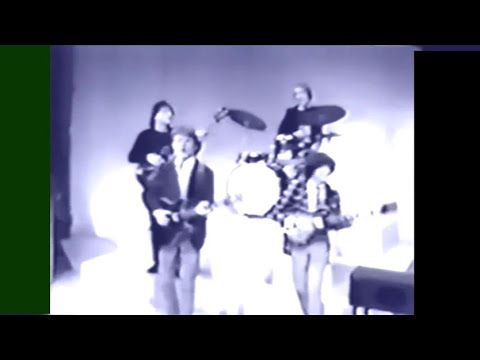 The Youngbloods - Grizzly Bear (TV appearance from 1967)