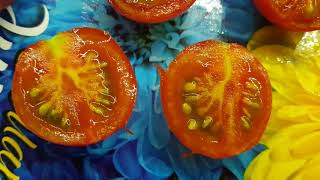 Томат Буян желтый: описание сорта помидоров, характеристики