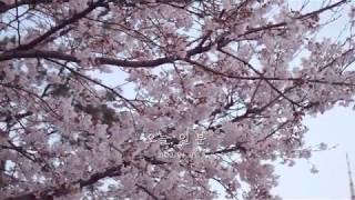 오늘 일 분 4K 2020년 4월 1일 디그리고디 협업공간 입주 첫날 - 픽프 매거진