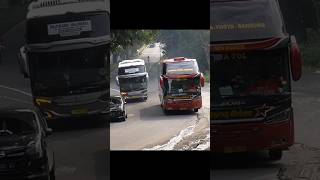 Download lagu Adu mekanik adu gengsi adu mental adu tenaga !! Bus sugeng rahayu vs bus budiman mp3