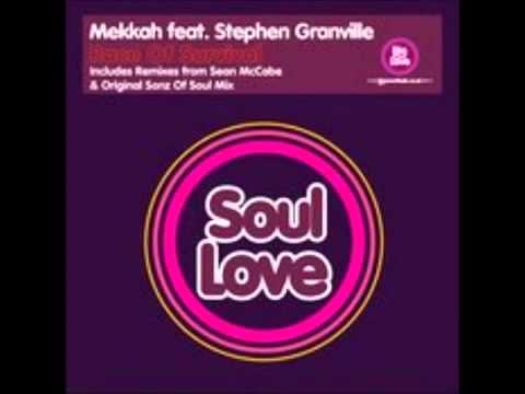 Seamus Haji Pres. Mekkah Feat. Stephan Granville - Race Of Survival (Sean McCabe Mix)