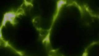 Zakk Wylde - Acoustic Stillborn