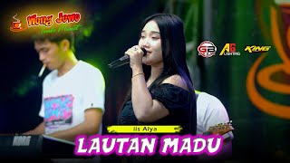Download lagu LAUTAN MADU - IIS ALYA OM WONGJOWO MADIUN X GHEBHE AUDIO - LIVE PUCANG ANOM mp3
