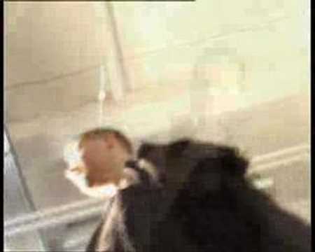 PC Action - Der Herr der Zwiebelringe