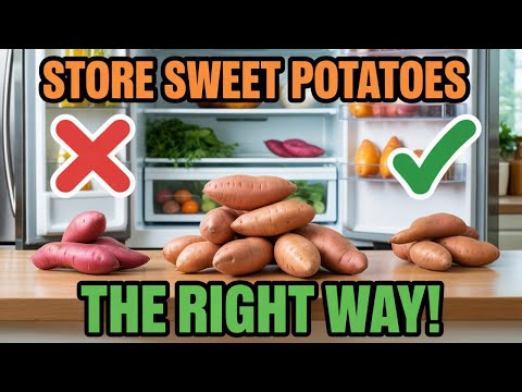 What's the BEST WAY to Keep Sweet Potatoes FRESH in the Fridge?