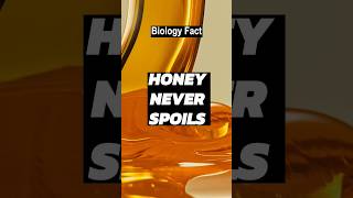 Download lagu Daily Science Facts #2 #science #facts #sciencefacts #trivia mp3 Download lagu Daily Science Facts #2 #science #facts #sciencefacts #trivia mp3