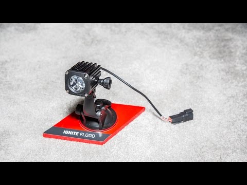The Best Gear We Found at the SEMA Show: Rigid Ignite Surface Mount LED Light