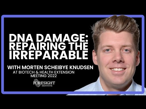 Morten Scheibye Knudsen | How Do We Repair the Irreparable?