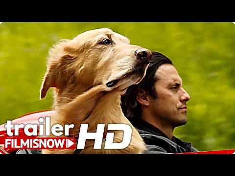 The Art of Racing in the Rain Trailer Starring Kevin Costner and Milo Ventimiglia