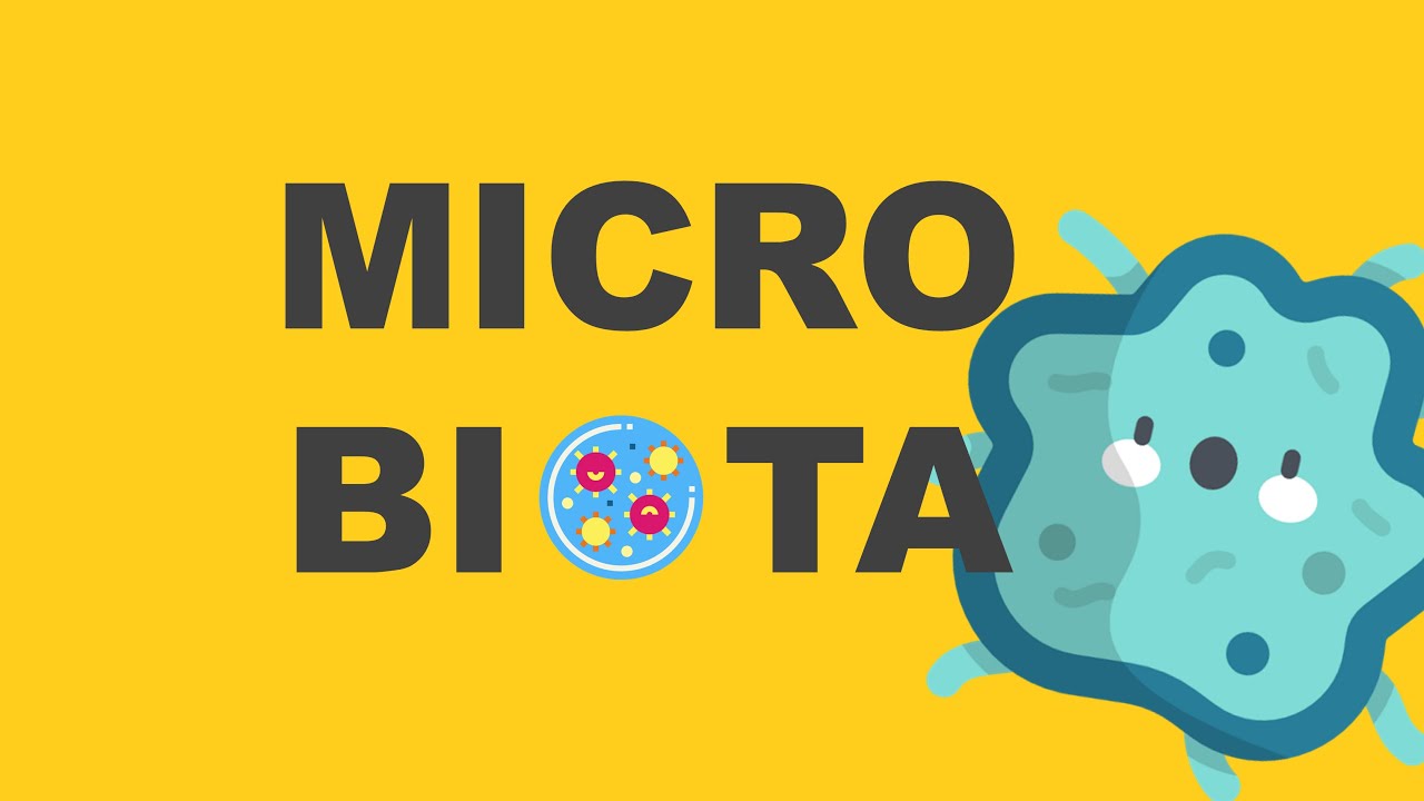 Microbiota intestinal | Trato gastrintestinal | NUTRICIONISTA LEONARDO