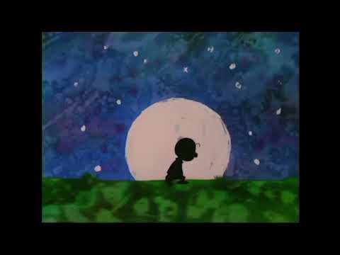 One in the Same - Charles M. Schulz and Charlie Brown