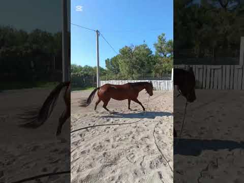 https://youtu.be/KQsMGbBTGqc?si=XOZ19pU-Id8wdAAD