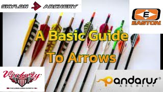 Basic Guide to Arrows: Mastering the Basics for Accuracy and Performance