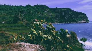 Download lagu Story wa estetik pantai pangasan pacitan mp3