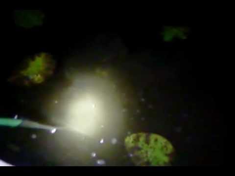 iso hauki tuulastamalla syyskuussa 2011