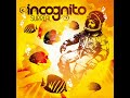 capricorn sun incognito instrumental