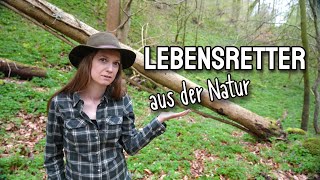 📍Lebensretter📍 aus der Natur🔥Hättest du das gewusst⁉️
