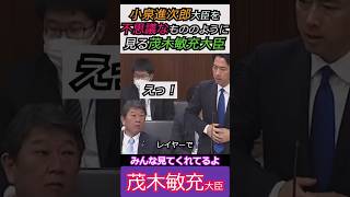 【※なんかおかしいなぁ】小泉進次郎大臣を不思議なもののように見る茂木敏充大臣 みんな見てくれてるよ #自民党 #shorts #ショート #茂木敏充  #小泉進次郎