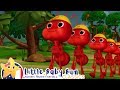 Les Fourmis Marchent Comptines Et Chansons Pour Bébés Little Baby Bum En Français