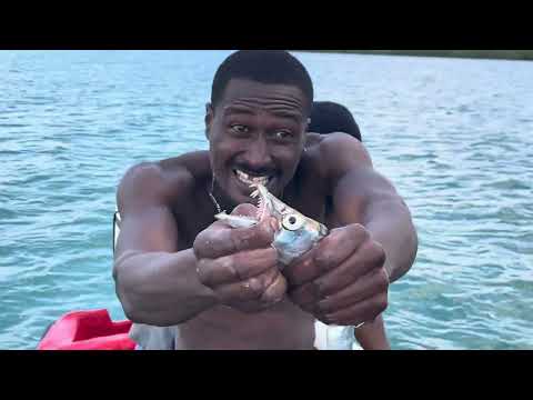 Went to sea ￼ to test my new camera and this happen 10 pound barracuda