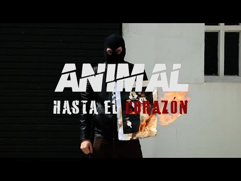 Hasta el Corazón - ANIMAL (nuevo single)