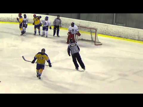 8. 2016 WSI 02 Pro Hockey - Sweden Selects