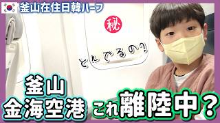 釜山金海空港珍しい離陸で一時帰国した日。予め約束はしない？‼突然の家族訪問は韓国の文化なのです【韓国在住・日韓夫婦・한일부부】