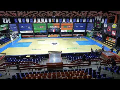 Tygři Brno - BC Swiss Krono Żary