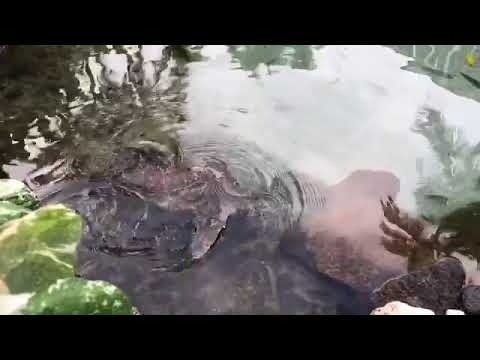 180212 Eunjung Instagram video