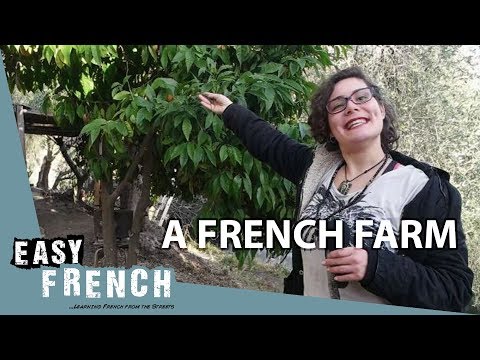 A French Farm (1) | Super Easy French 20
