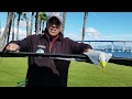 Rev Eagle Master Level Soaring Skills Part 1
