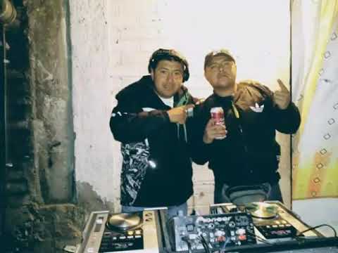 RMX INSETY BAS TAJPAN